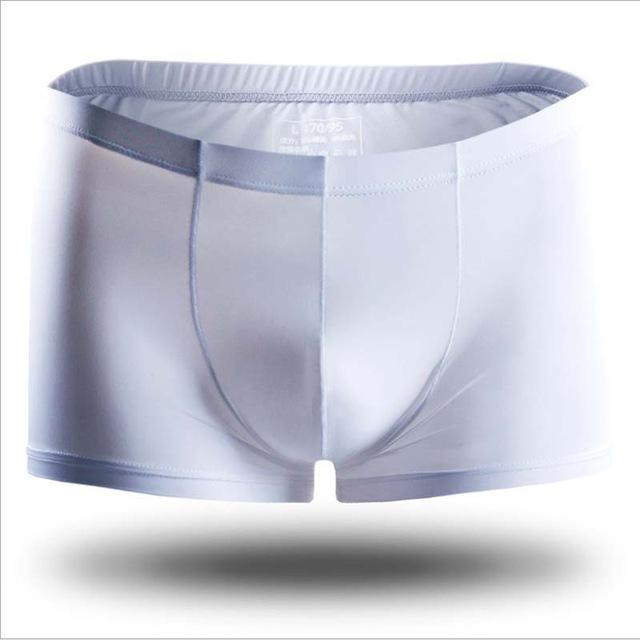 ORVLS Icy + Stretch Boxer Briefs | dmunderwear detail image 8