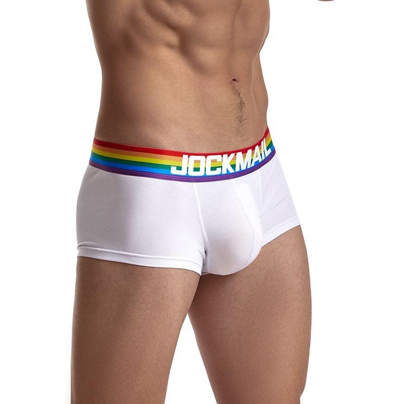ORVLS Jockmail Rainbow Band Boxer Briefs | dmunderwear
