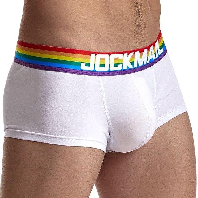 ORVLS Jockmail Rainbow Band Boxer Briefs | dmunderwear detail image 3