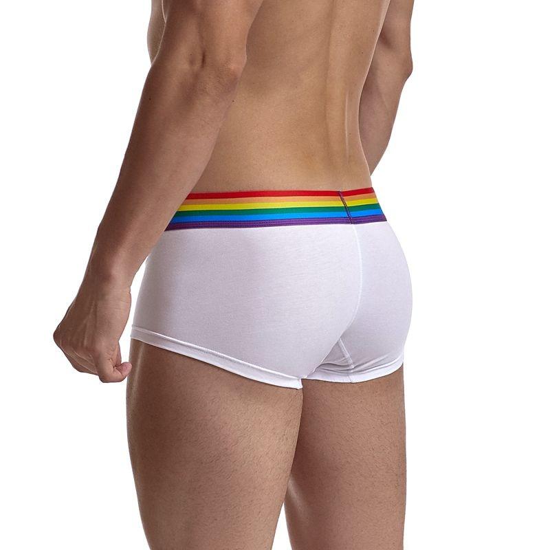 ORVLS Jockmail Rainbow Band Boxer Briefs | dmunderwear detail image 4