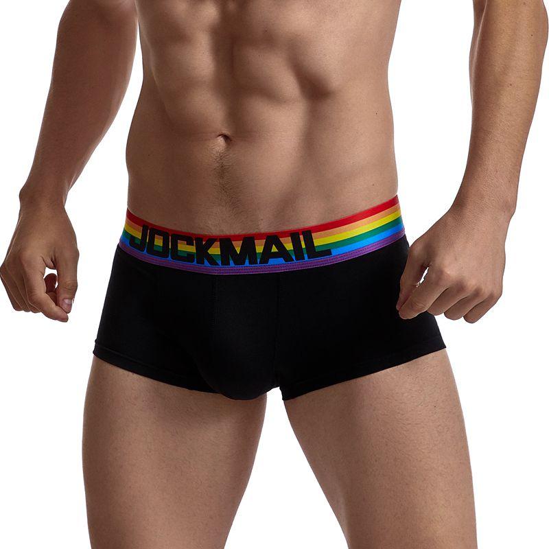 ORVLS Jockmail Rainbow Band Boxer Briefs | dmunderwear detail image 5