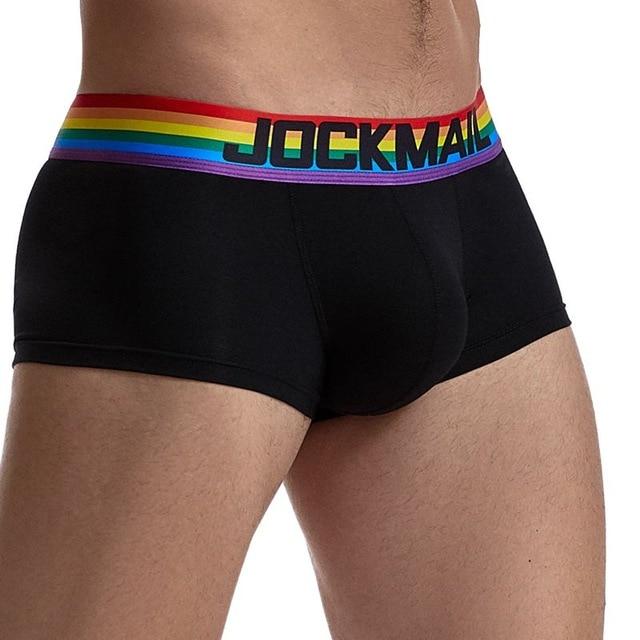 ORVLS Jockmail Rainbow Band Boxer Briefs | dmunderwear detail image 6