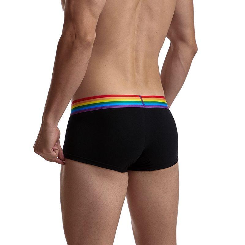 ORVLS Jockmail Rainbow Band Boxer Briefs | dmunderwear detail image 7