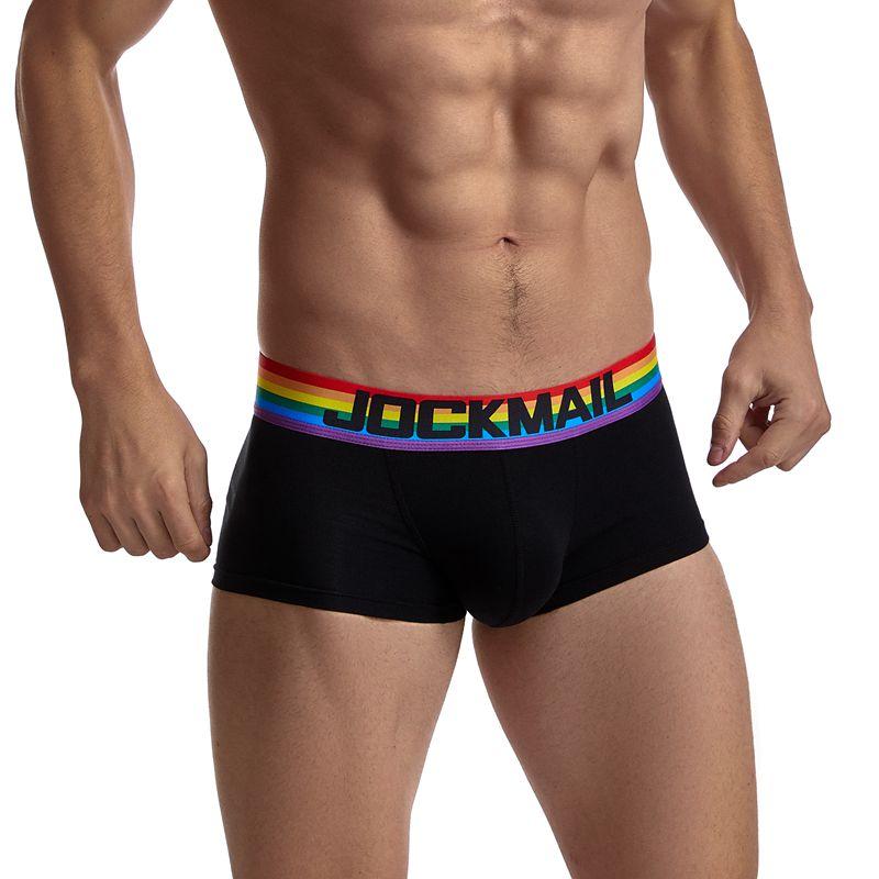 ORVLS Jockmail Rainbow Band Boxer Briefs | dmunderwear detail image 8