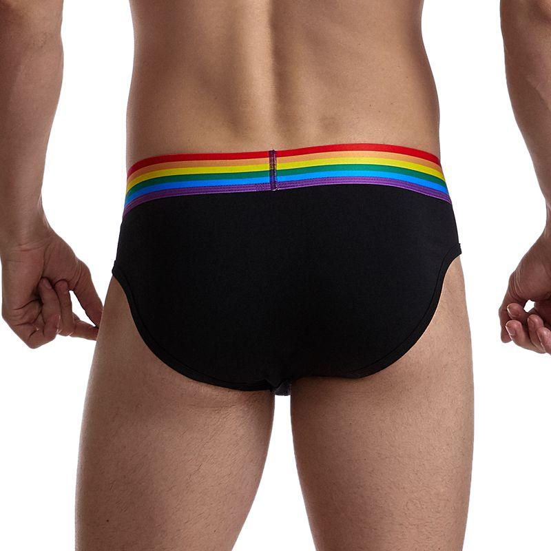 Jockmail Rainbow Band Briefs | dmunderwear detail image 6