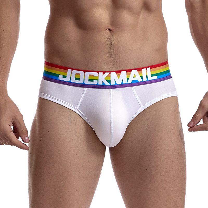 ORVLS Jockmail Rainbow Band Briefs | dmunderwear detail image 2