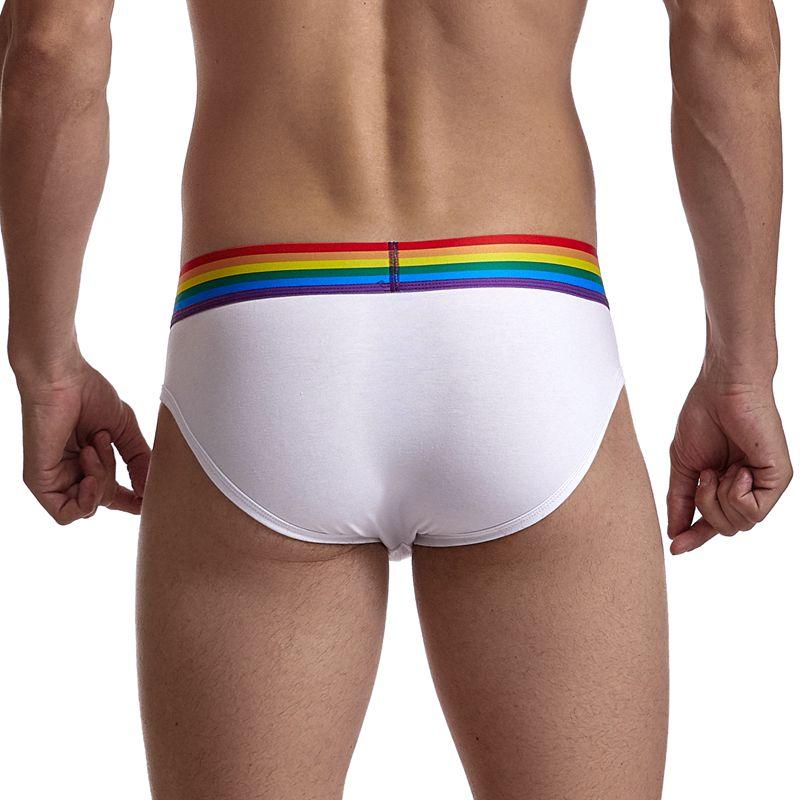 ORVLS Jockmail Rainbow Band Briefs | dmunderwear detail image 3