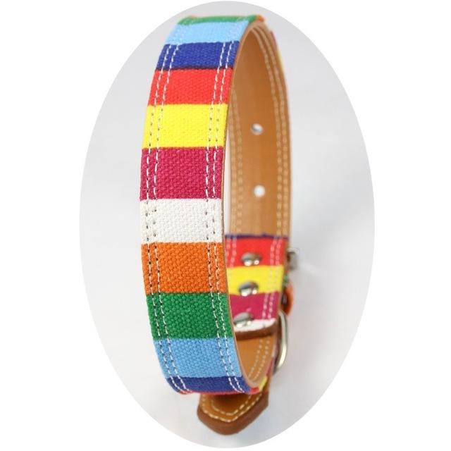 Leather Pride Pet Collar | dmunderwear