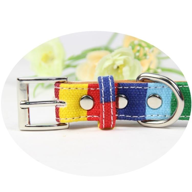 Leather Pride Pet Collar | dmunderwear detail image 2