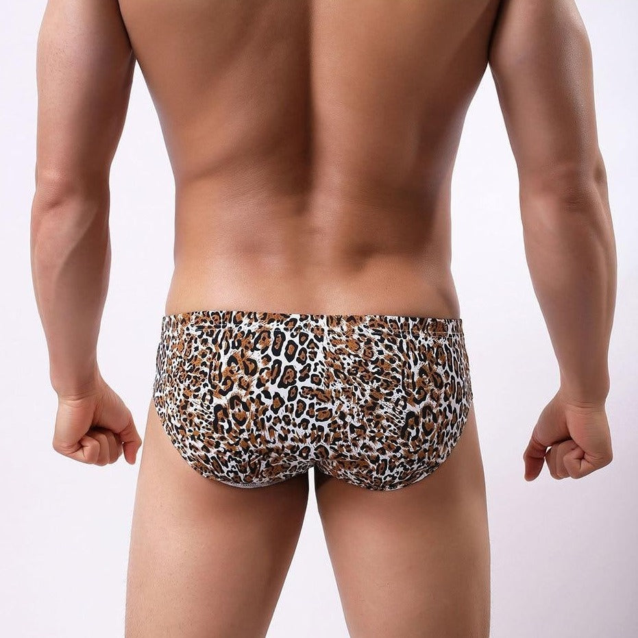 Leopard Print Briefs | dmunderwear