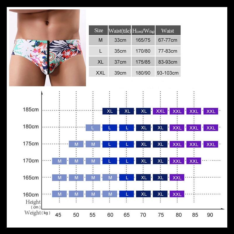 Leopard Print Briefs | dmunderwear product image 3