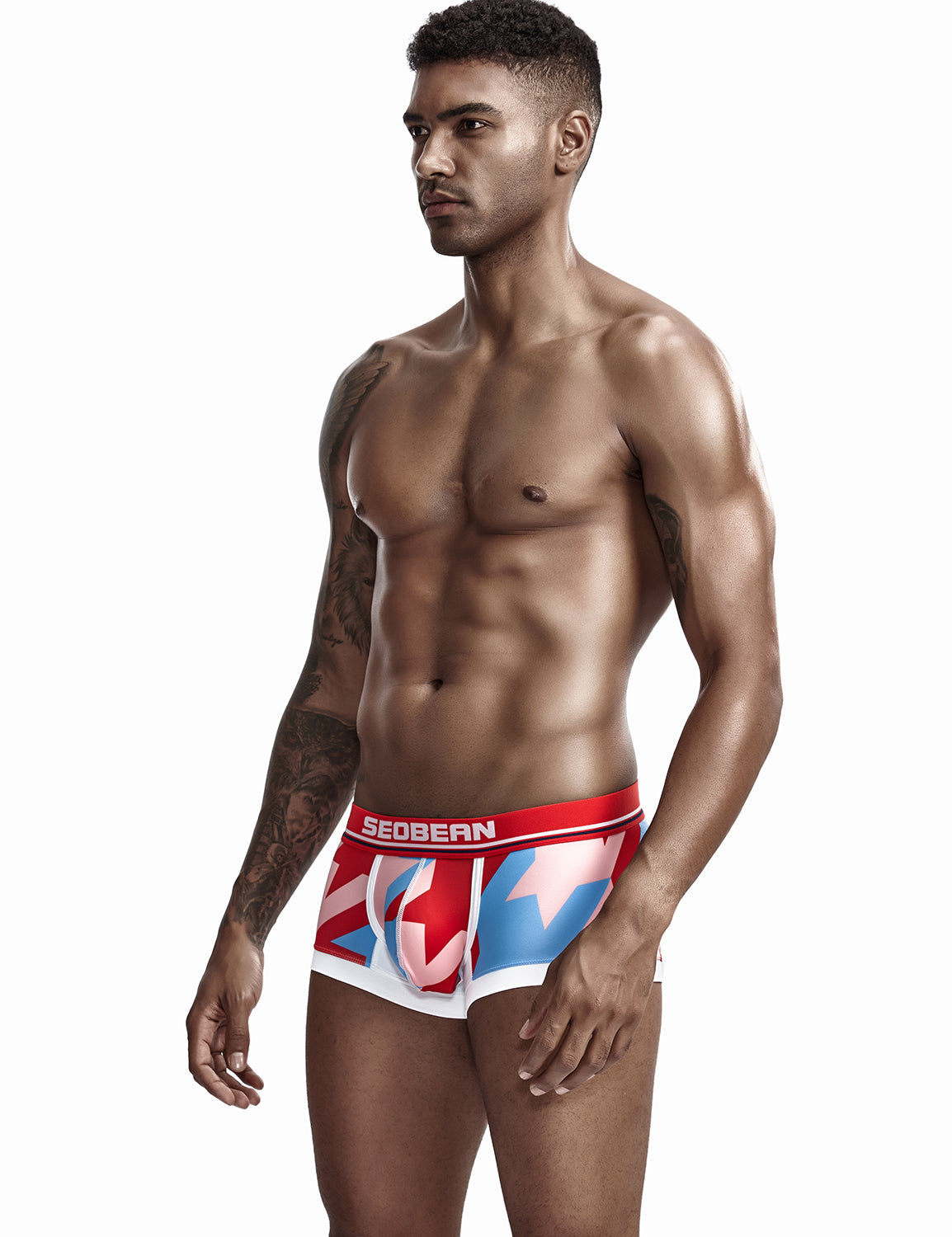Low Rise Sexy Visual Arts Boxer Brief 90225 | dmunderwear detail image 13