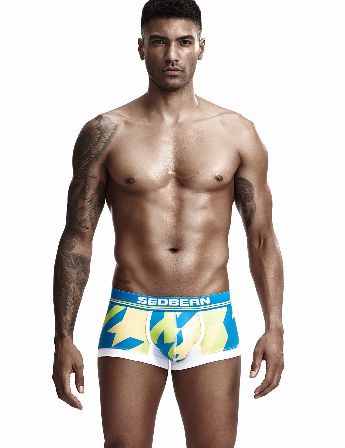 Low Rise Sexy Visual Arts Boxer Brief 90225 | dmunderwear detail image 14