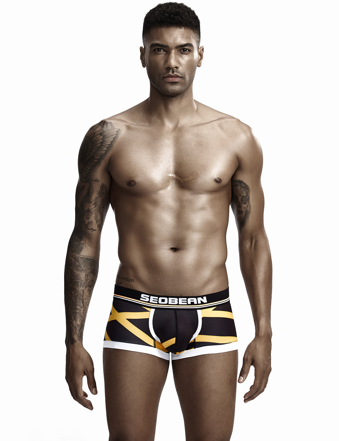 Low Rise Sexy Stripe Boxer Brief 90224 | dmunderwear