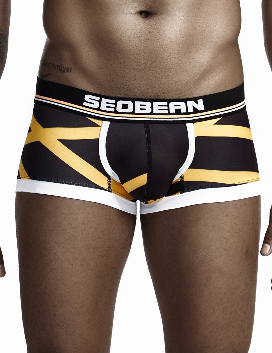 Low Rise Sexy Stripe Boxer Brief 90224 | dmunderwear detail image 3