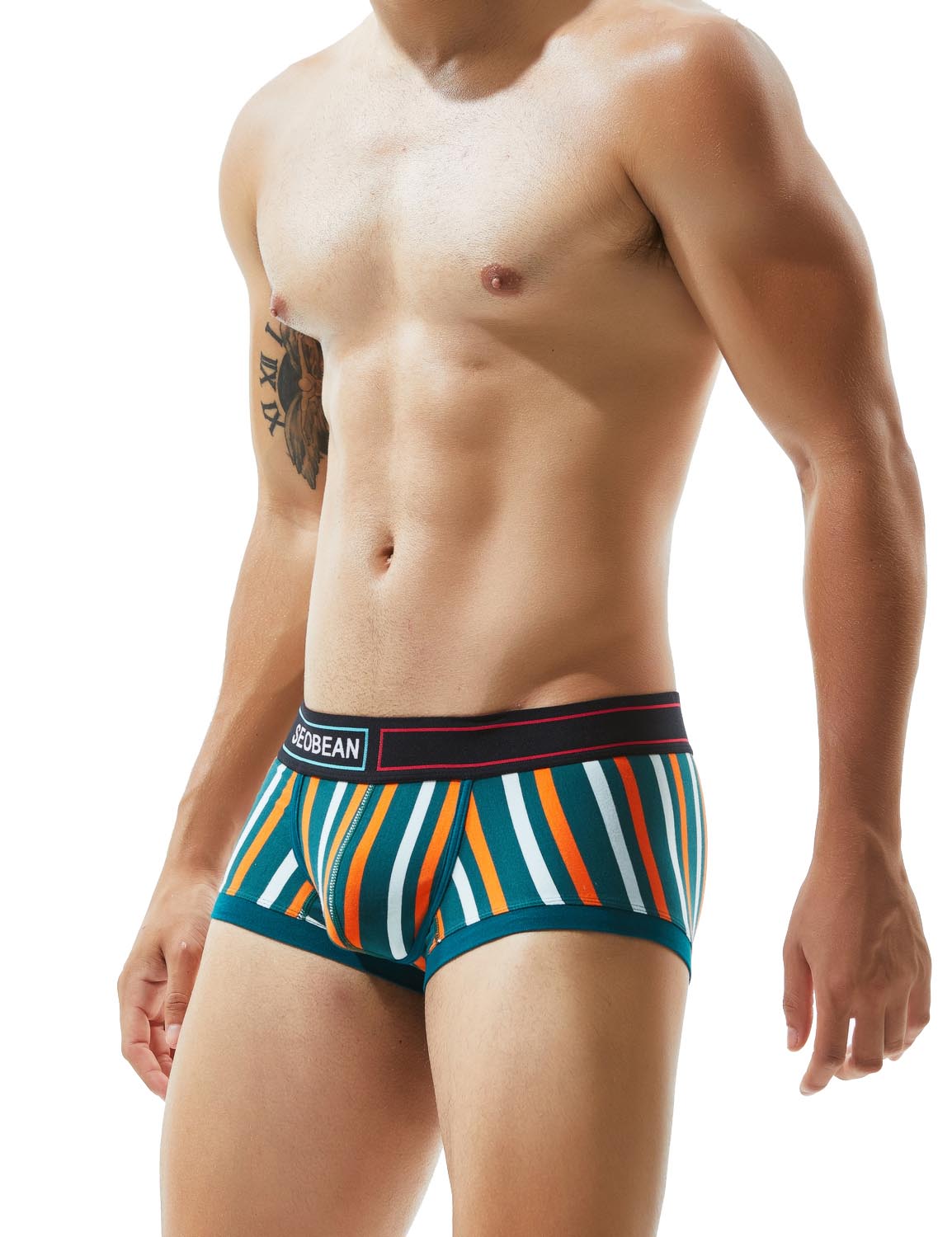 Low Rise Stripe Boxer Brief 80214 | dmunderwear