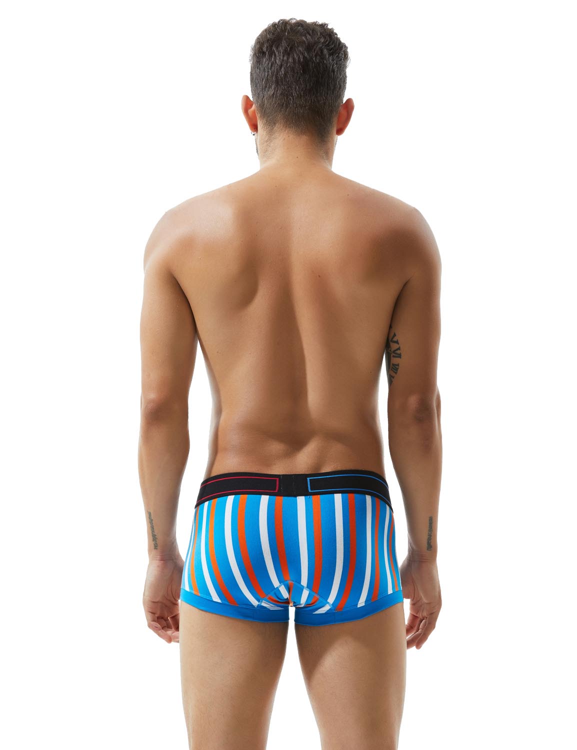 Low Rise Stripe Boxer Brief 80214 | dmunderwear detail image 10