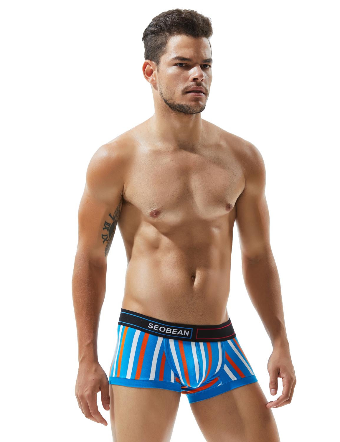 Low Rise Stripe Boxer Brief 80214 | dmunderwear detail image 11