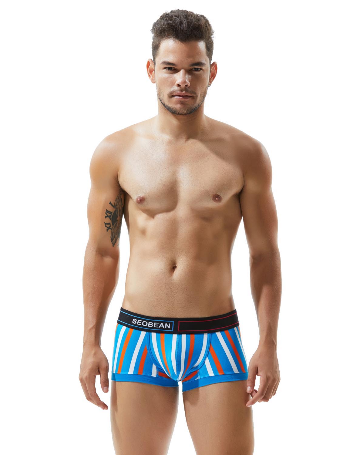 Low Rise Stripe Boxer Brief 80214 | dmunderwear detail image 12