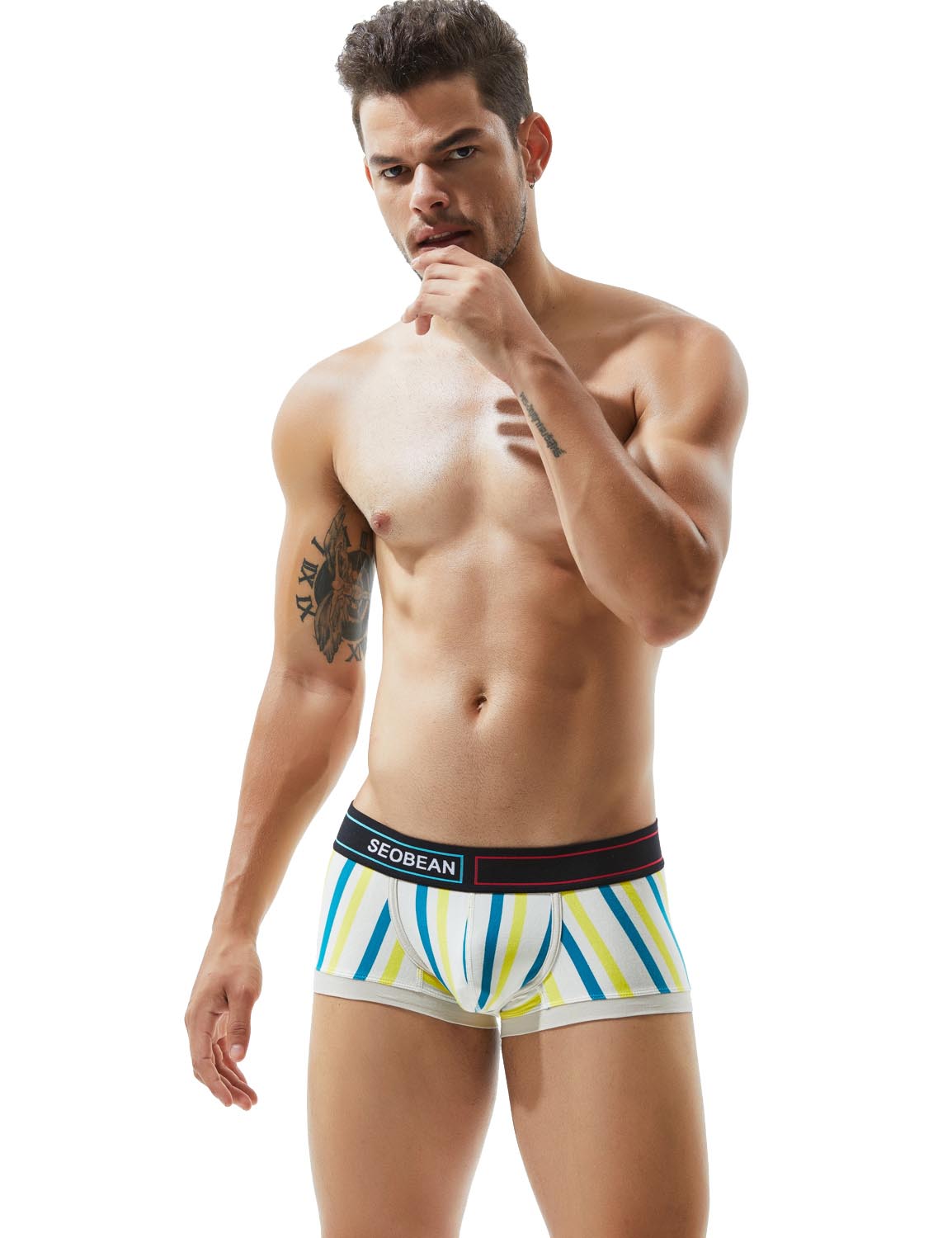 Low Rise Stripe Boxer Brief 80214 | dmunderwear detail image 15