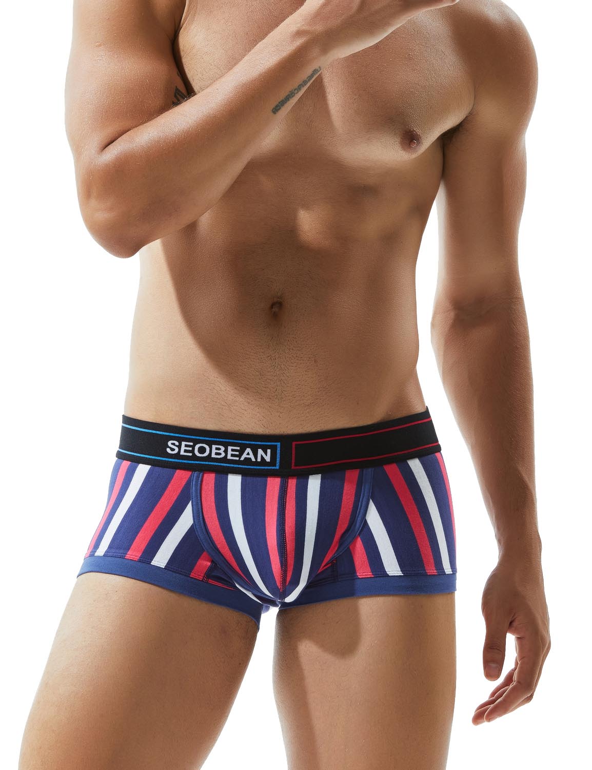 Low Rise Stripe Boxer Brief 80214 | dmunderwear detail image 5