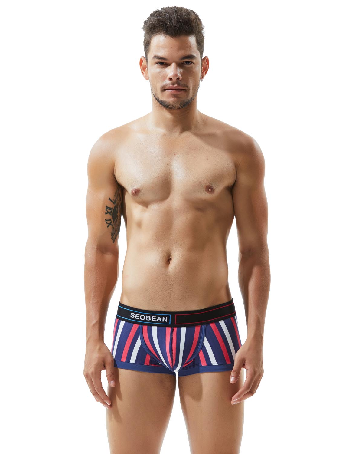 Low Rise Stripe Boxer Brief 80214 | dmunderwear detail image 8