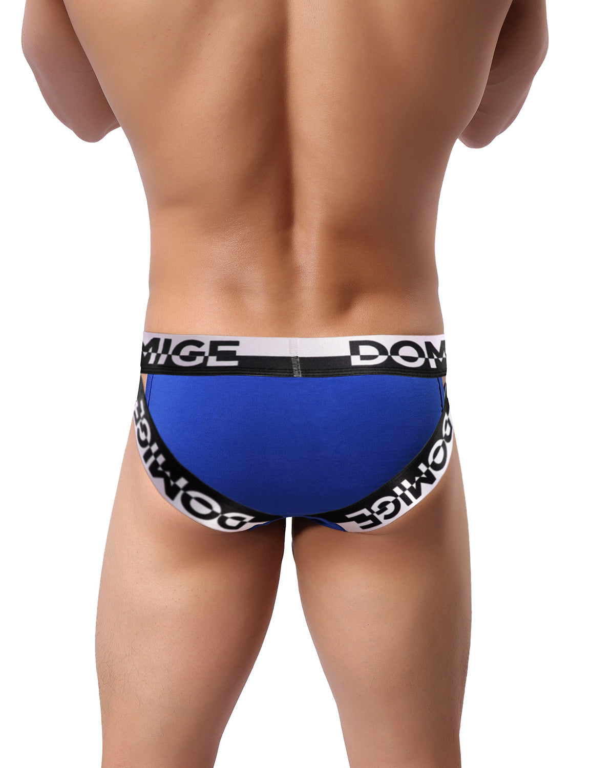 Low Rise Wide Waistband Briefs 5349 | dmunderwear detail image 17