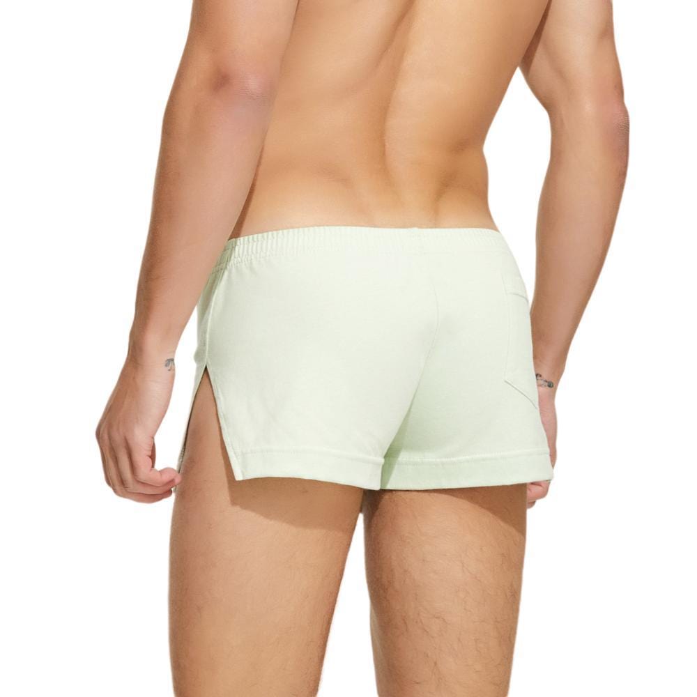Lush Shorts | dmunderwear detail image 13