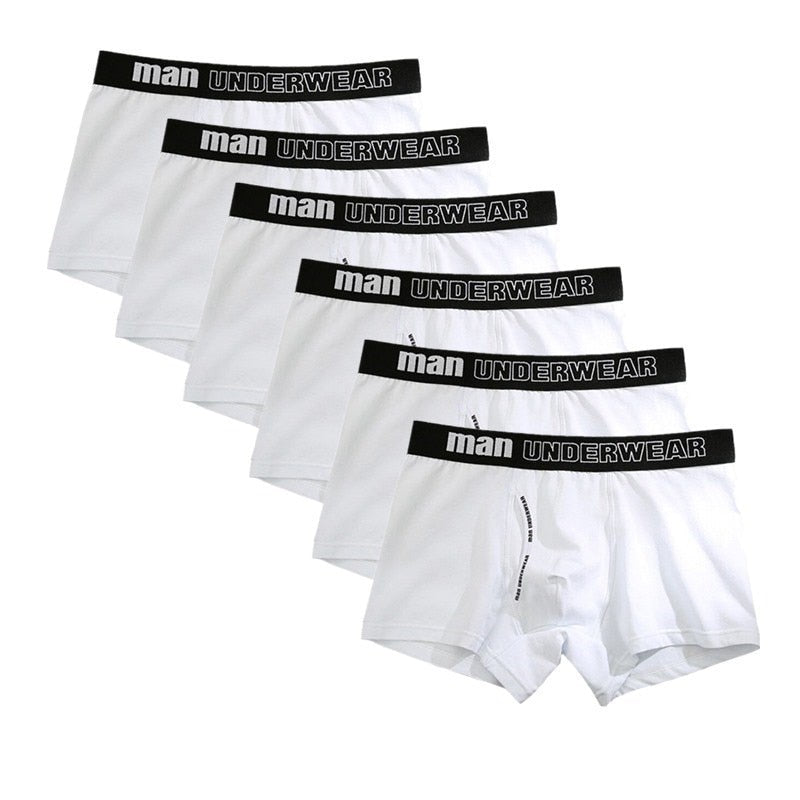 Man Basic Accent Boxer Brief 6-Pack | dmunderwear detail image 10