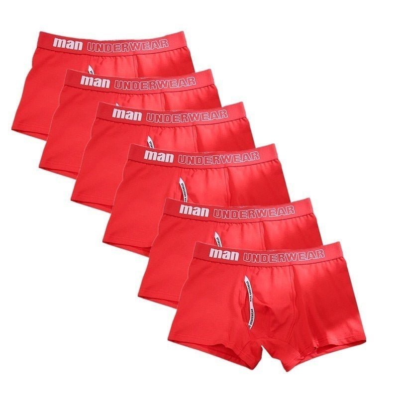 Man Basic Accent Boxer Brief 6-Pack | dmunderwear detail image 12