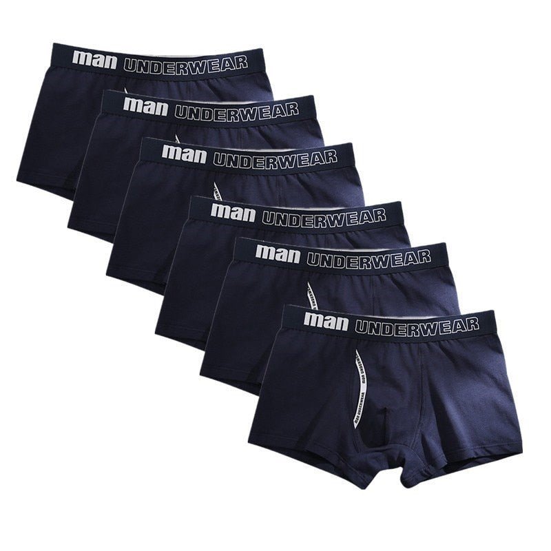 ORVLS Man Basic Accent Boxer Brief 6-Pack | dmunderwear detail image 6