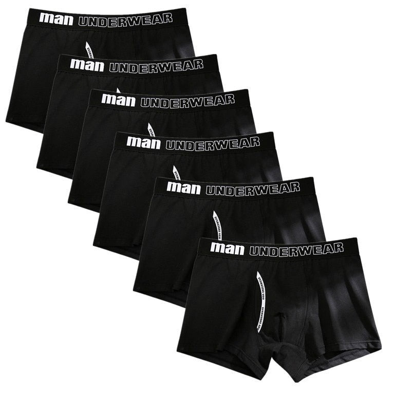 ORVLS Man Basic Accent Boxer Brief 6-Pack | dmunderwear detail image 7