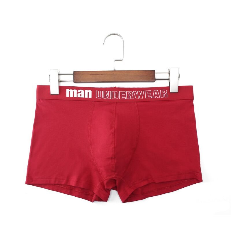 Man Basic Boxer Briefs 6-Pack | dmunderwear detail image 7