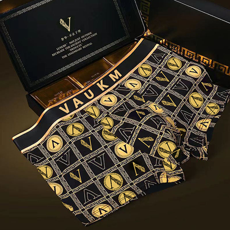 Men's briefs Breathable sport shorts Light luxury briefs Men's boxer shorts | dmunderwear