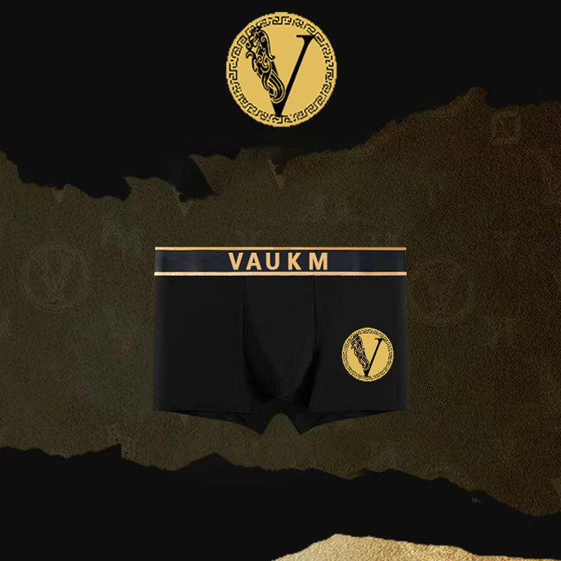Men's briefs Breathable sport shorts Light luxury briefs Men's boxer shorts | dmunderwear detail image 14