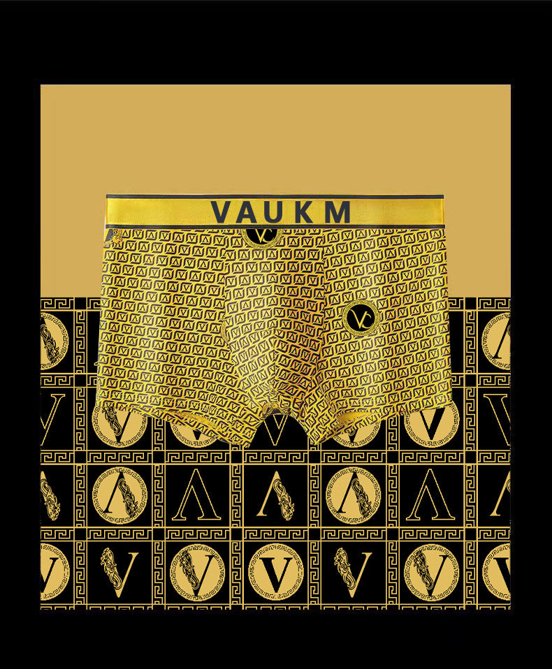 Men's briefs Breathable sport shorts Light luxury briefs Men's boxer shorts | dmunderwear detail image 15