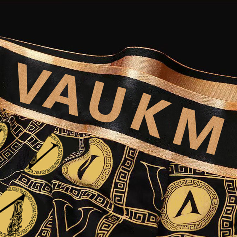 Men's briefs Breathable sport shorts Light luxury briefs Men's boxer shorts | dmunderwear detail image 7