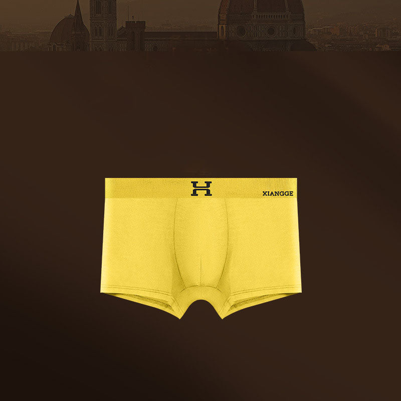 Men's briefs Warm Modal thin boxer shorts Boxer briefs | dmunderwear detail image 11