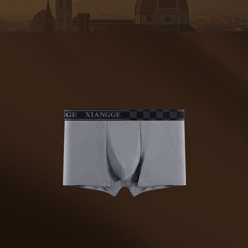 Men's briefs Warm Modal thin boxer shorts Boxer briefs | dmunderwear detail image 7