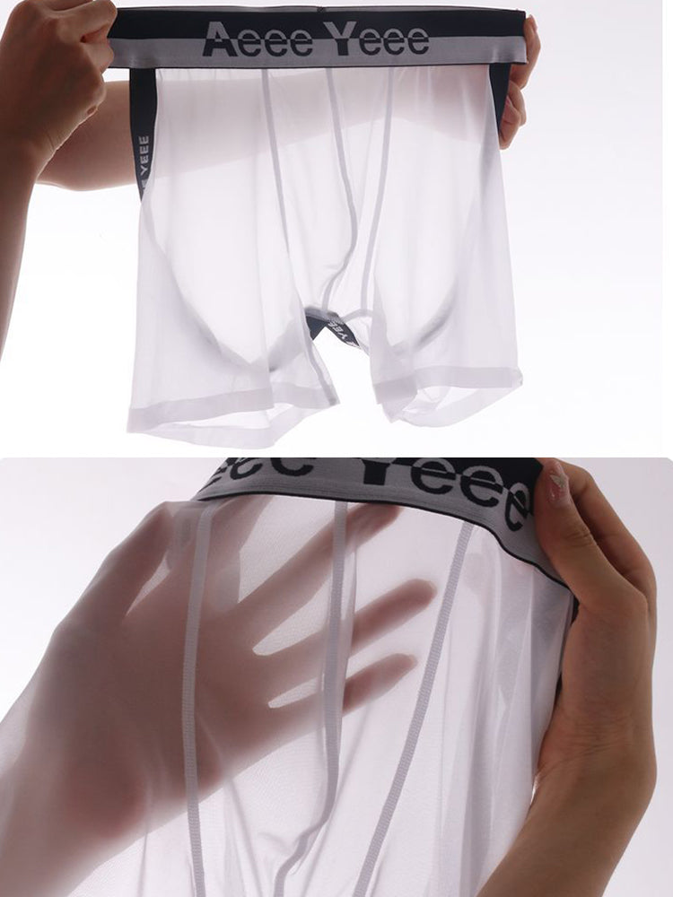 Men's Ice Silk Hip Hollow Mesh Boxer Briefs | dmunderwear detail image 8