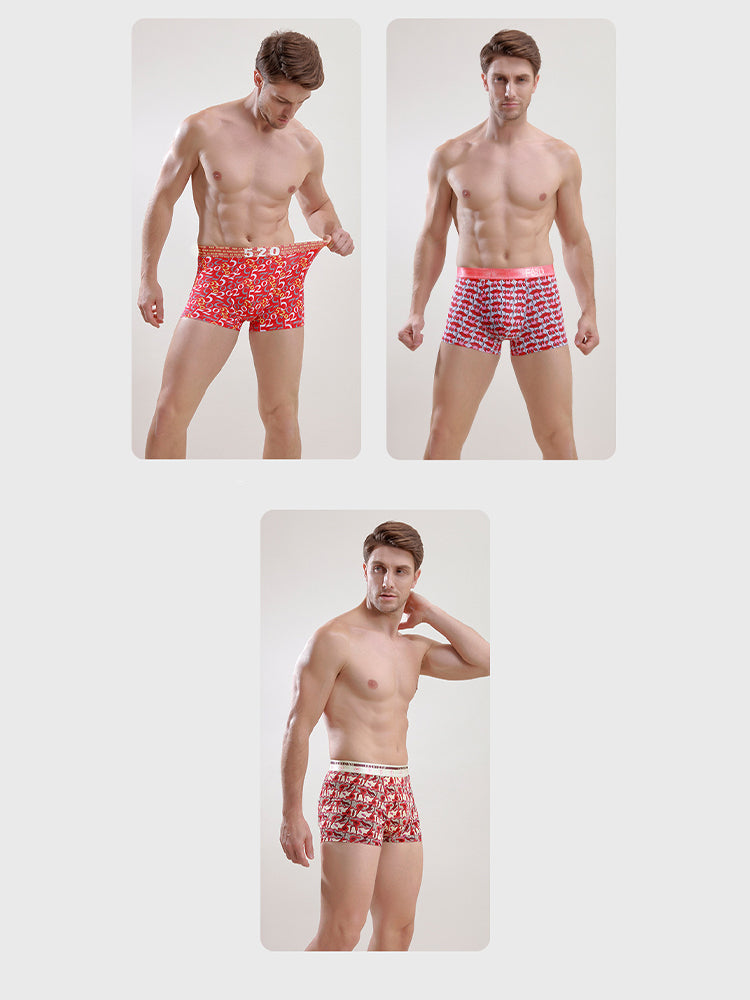 Men's Ice Silk Sexy Breathable Printed Boxers Briefs | dmunderwear detail image 9