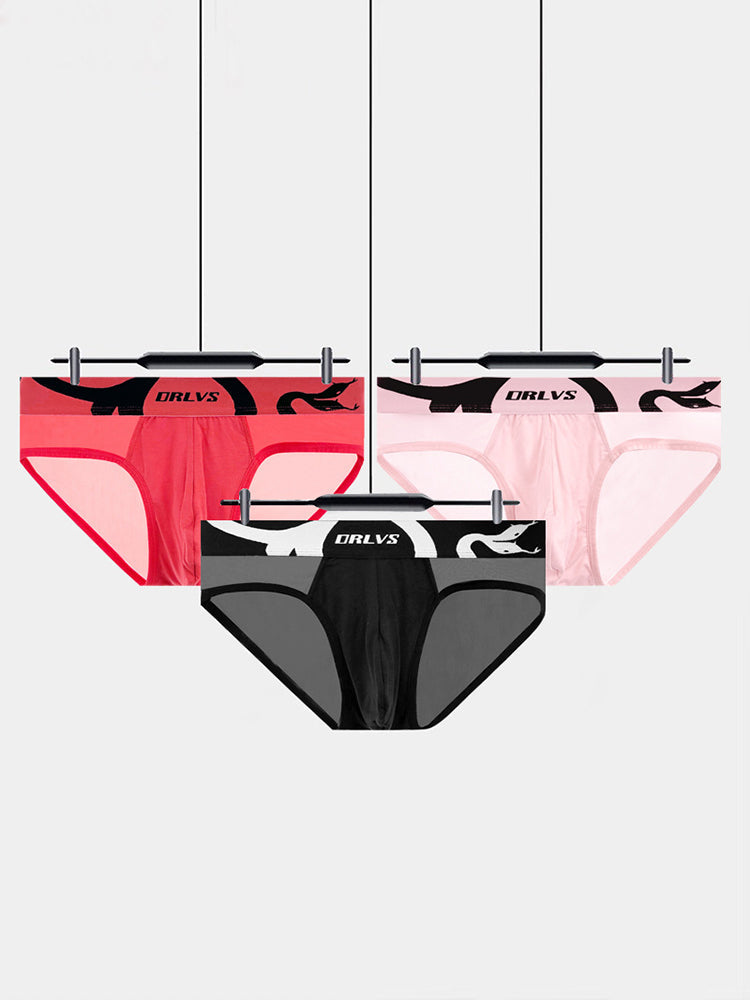 Men's Mesh Sport Briefs with Contoured Pouch & Ventilation | dmunderwear