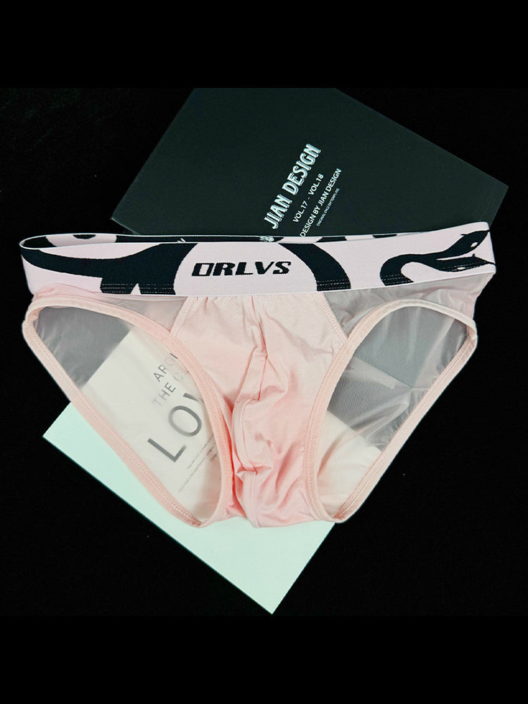 Men's Mesh Sport Briefs with Contoured Pouch & Ventilation | dmunderwear detail image 17