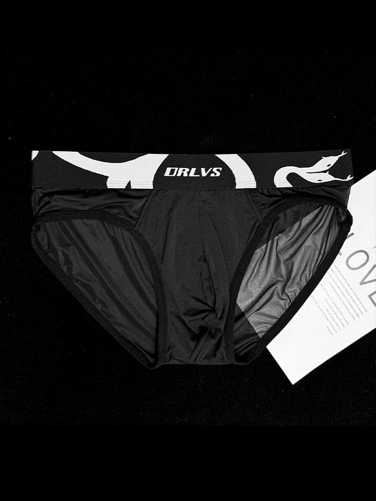 Men's Mesh Sport Briefs with Contoured Pouch & Ventilation | dmunderwear detail image 18