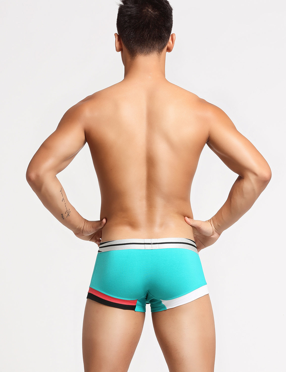 Mens Low Rise Boxer Brief 10201 | dmunderwear detail image 2