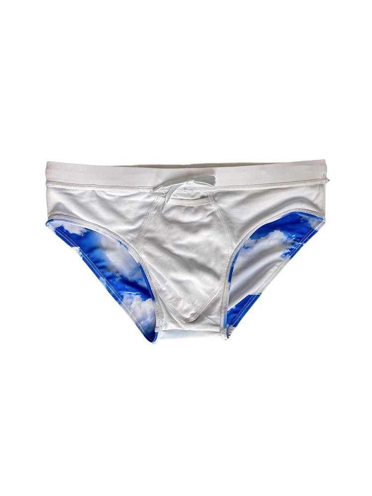 Men's Low-Rise Casual Holiday Swim Briefs | dmunderwear detail image 9