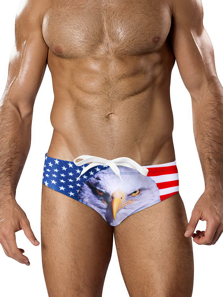 Men's Low-Rise Sexy Stylish Print Swim Briefs | dmunderwear detail image 13