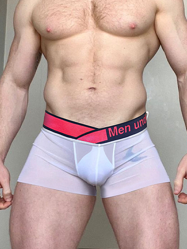 Men's Quick-Dry Semi-Sheer Lightweight Ice Silk Trunks | dmunderwear detail image 10