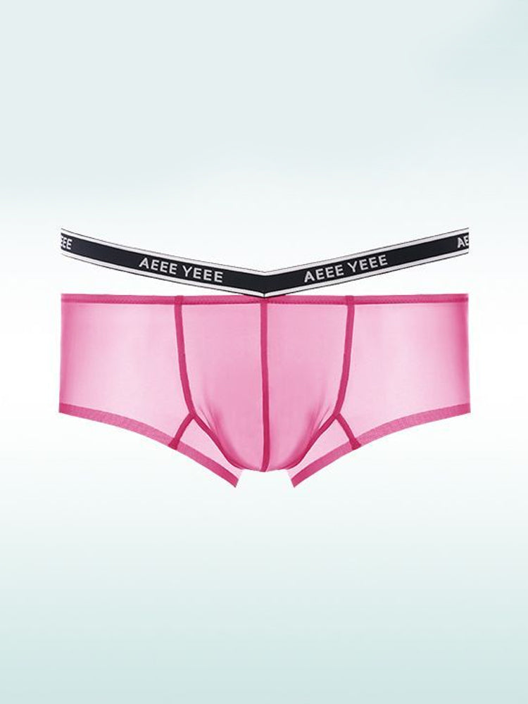 Men's Transparent Ice Silk Waistband Separate Briefs | dmunderwear detail image 16