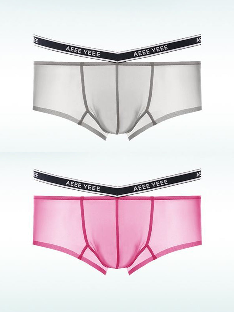Men's Transparent Ice Silk Waistband Separate Briefs | dmunderwear detail image 17